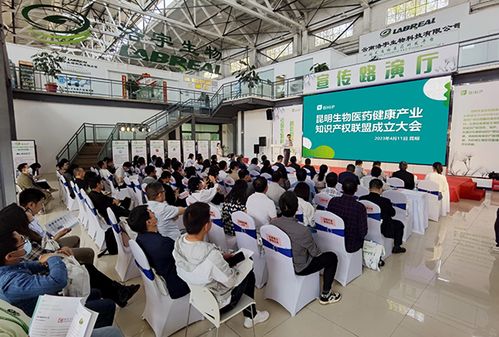 昆明生物醫藥健康產業知識產權聯盟成立，為產業發展注入新動能